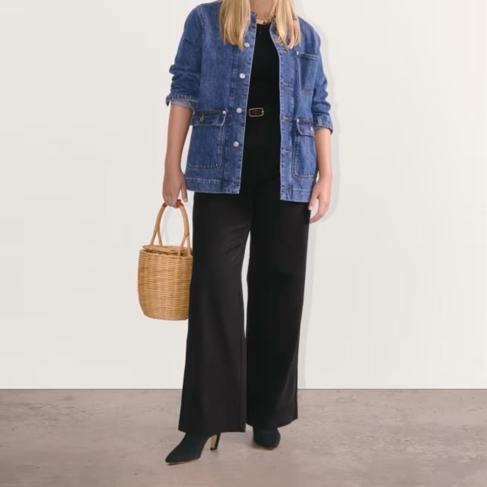 Everlane Draper Pleated Pant in Buttersmooth, 00